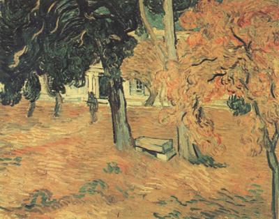 Vincent Van Gogh The Garden of Saint-Paul Hospital (nn04) china oil painting image